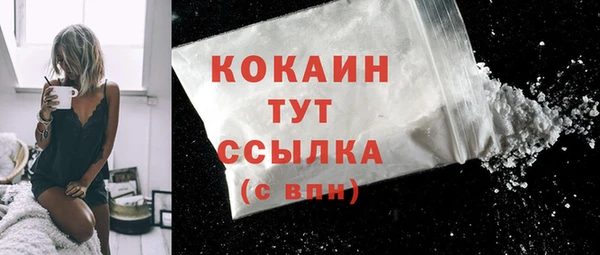 МДПВ Болотное