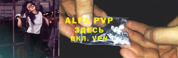 хмурый Михайловск