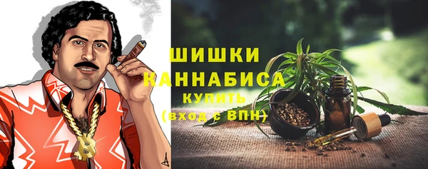 дмт Мегион