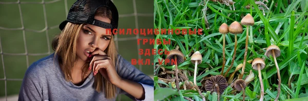 прущий лед Медногорск