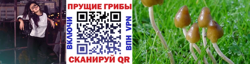 наркотики  Нижняя Салда  kraken ССЫЛКА  Галлюциногенные грибы Magic Shrooms 