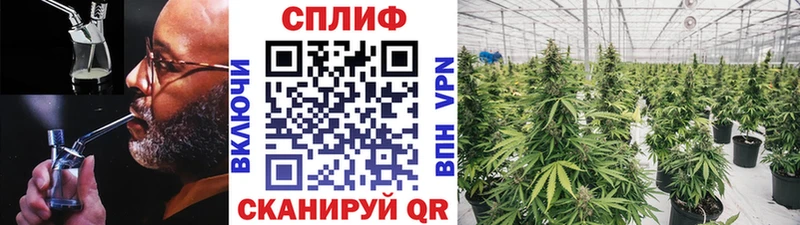 Канабис VHQ  Нижняя Салда 